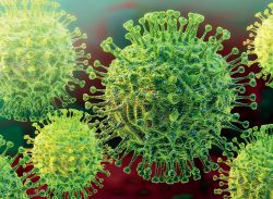 অজানা ভাইরাসে ২ বোনের মৃত্যু