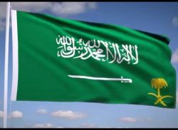 সৌদি আরবে প্রথমবারের মতো চিকিৎসক ও নার্স পাঠাচ্ছে বাংলাদেশ