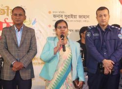 শিল্পকলা একাডেমির আয়োজনে লক্ষ্মীপুরে ৩ দিনব্যাপী পিঠা উৎসব