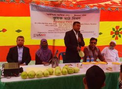 কলাপাড়ায় আইপিএম পদ্ধতিতে বেগুন উৎপাদন বিষয়ক কৃষক মাঠ দিবস অনুষ্ঠিত।।