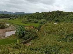 নাইক্ষ্যংছড়ি সীমান্তে ফের গুলি