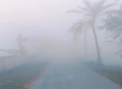 পঞ্চগড়ে মাঝারি শৈত্যপ্রবাহ