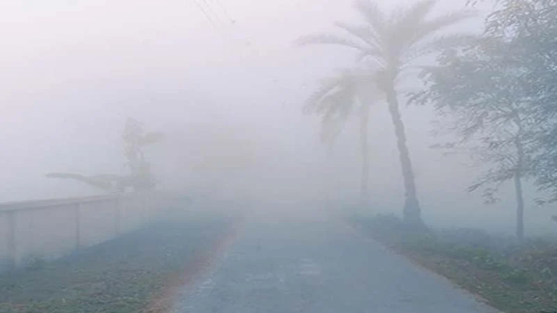 পঞ্চগড়ে মাঝারি শৈত্যপ্রবাহ