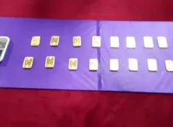 ভারতে  স্বর্ণ পাচারকালে ২ কোটি টাকার স্বর্ণসহ আটক ২ জন