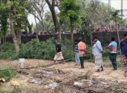 একরাতে কবর থেকে  উধাও ১৭ কঙ্কাল