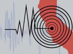 পাপুয়া নিউগিনিতে শক্তিশালী ভূমিকম্প রিখটার স্কেলে এর মাত্রা ছিল ৬ দশমিক ৭