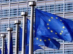 দ্বাদশ নির্বাচন: ইইউর চূড়ান্ত প্রতিবেদনে