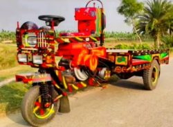 কাশিয়ানীতে নছিমনের চাকার পিষ্ট হয়ে তিন বছরের শিশু কন্যা নিহত।