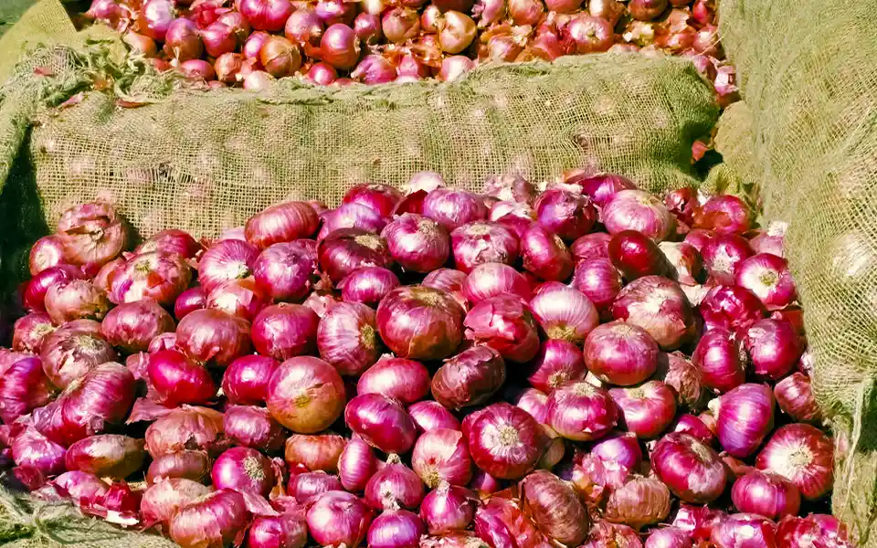 আবারও পেঁয়াজ রপ্তানিতে অনির্দিষ্টকালের নিষেধাজ্ঞা জারি করেছে ভারত