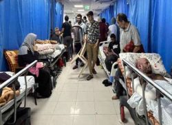 গাজার আল শিফা হাসপাতালে ইসরায়েলি হামলা: নিহত ৪ শতাধিক