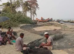 সেন্ট মার্টিন-শাহপরীর দ্বীপ থেকে শোনা যাচ্ছে মর্টারশেল ও গোলার বিকট শব্দ