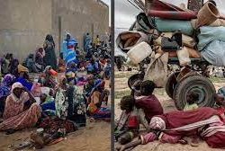 অনাহারের ঝুঁকিতে সুদানের ৫০ লাখ মানুষ : জাতিসংঘ