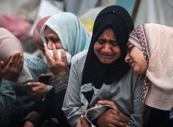 গাজায় নিহত আরও ৭৬, প্রাণহানি বেড়ে প্রায় ৩২৫০০