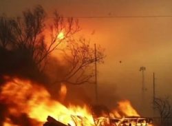 ইতিহাসের সবচেয়ে বড় দাবানল: জ্বলছে যুক্তরাষ্ট্রের টেক্সাস