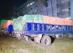 পাবনায় ভারতীয় চিনি বোঝাই ১২টি ট্রাকসহ আটক ২৩ জন