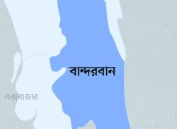 বাংলাদেশে আরও ৫০ বিজিপি সদস্য প্রবেশ করেছে