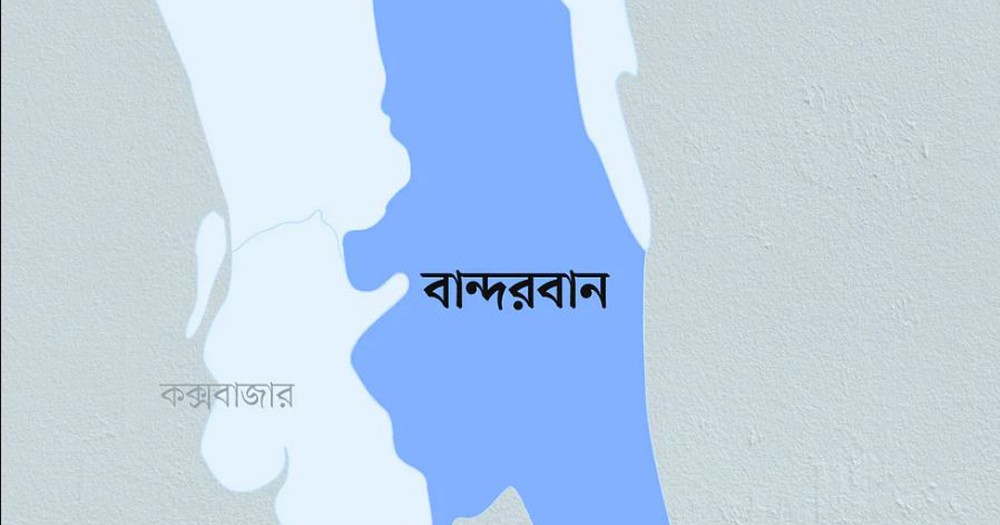 বাংলাদেশে আরও ৫০ বিজিপি সদস্য প্রবেশ করেছে