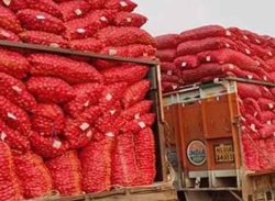 ৬ দেশে পেঁয়াজ রপ্তানির অনুমতি দিল ভারত