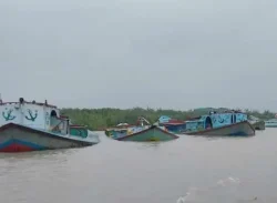 নৌ দুর্ঘটনা বন্ধে ৭ দিন বাল্কহেড নিষিদ্ধ করার প্রস্তাব: এসসিআরএফ