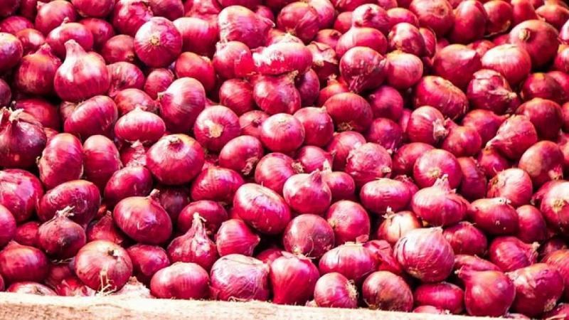 ১৬৫০ টন ভারতীয় পেঁয়াজ খালাস হচ্ছে  সিরাজগঞ্জে