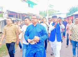 কলাপাড়ায় জমে উঠেছে ৪র্থ ধাপের উপজেলা পরিষদ নির্বাচনের মাঠ।