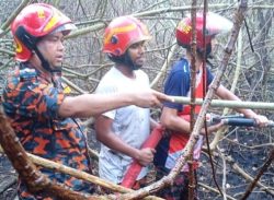 পুরোপুরি নিয়ন্ত্রণে এসেছে সুন্দরবনের আগুন : ফায়ার সর্ভিস