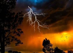 তিন জেলায় বজ্রপাতে  চারজনের মৃত্যু