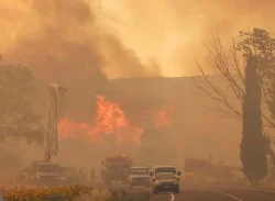 তুরস্কে ভয়াবহ দাবানল: নিহত ১২, আহত ৭৮
