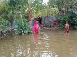 ৪ উপজেলায় সুপেয় পানির তীব্র সংকট, বাড়ছে রোগবালাই…