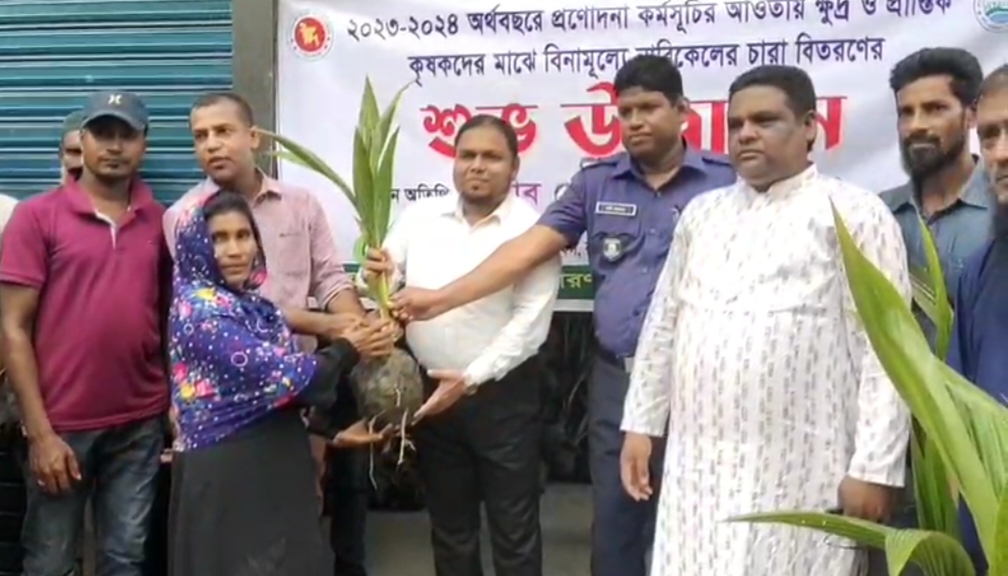 কলাপাড়ায় ১২০০ কৃষকের মাঝে বিনামূল্যে ৬ হাজার নারিকেল চারা বিতরন।