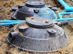 সঞ্জীভার সেপটিক ট্যাংকে পাওয়া মাংস মানুষের