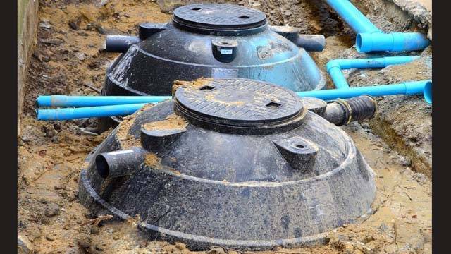 সঞ্জীভার সেপটিক ট্যাংকে পাওয়া মাংস মানুষের