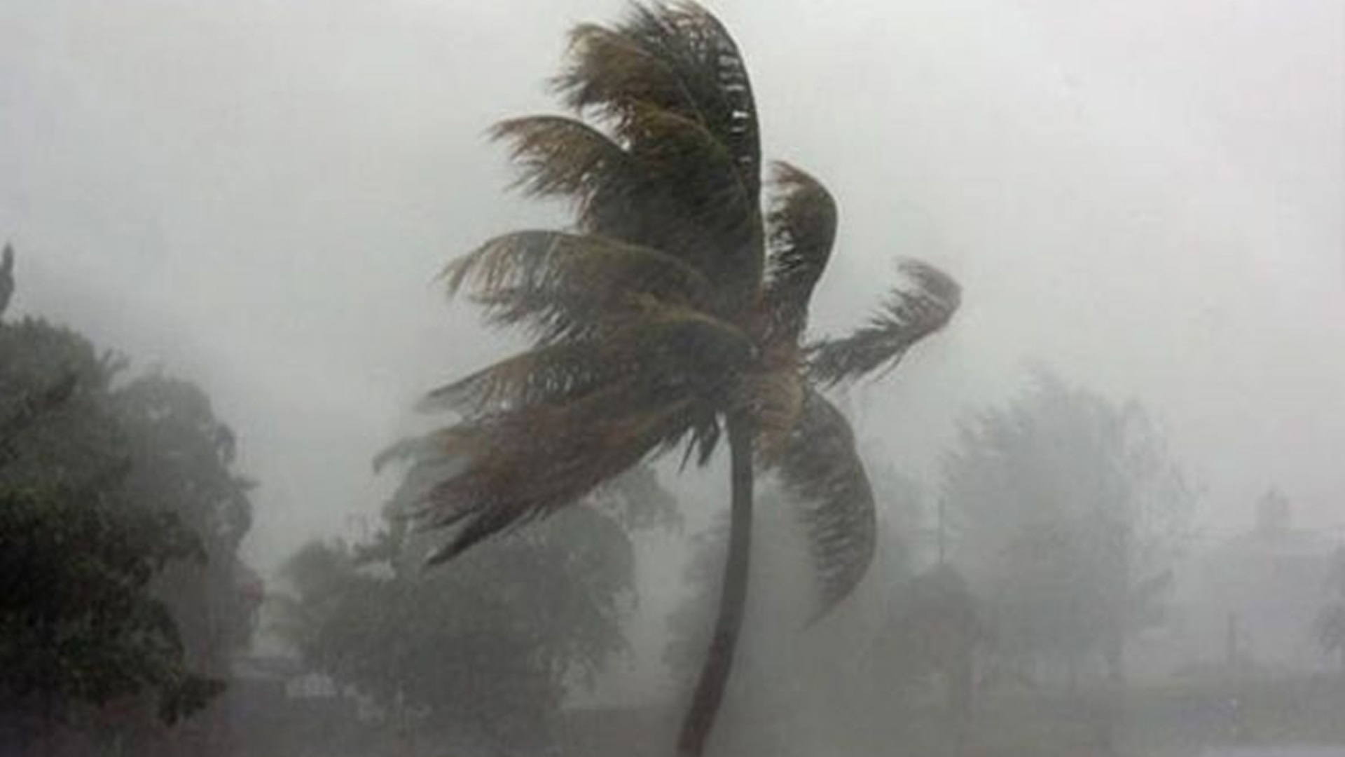 আজ দুপুর ১টার মধ্যে দেশের তিন বিভাগে ৬০ কিমি বেগে ঝড় হতে পারে