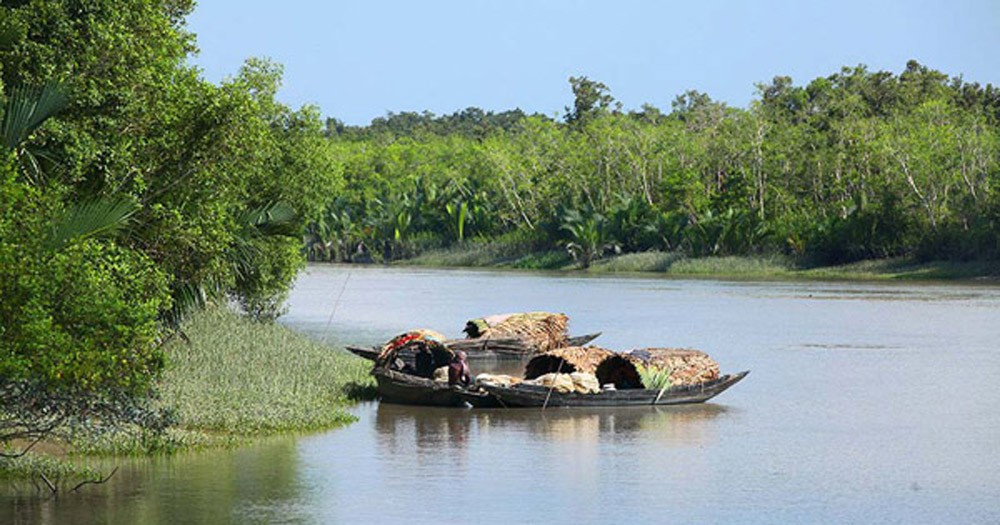 শনিবার থেকে তিন মাস সুন্দরবনে ঢোকা নিষেধ