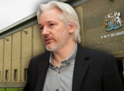 ১৪ বছরের আইনি লড়াইয়ের অবসান! ব্রিটিশ জেল থেকে মুক্ত জুলিয়ান অ্যাসেঞ্জ