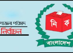 স্থগিত ২০ উপজেলার ভোটগ্রহন রোববার