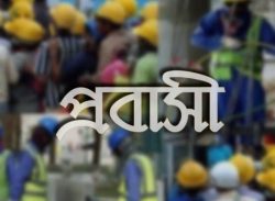 কাশিয়ানীতে মিথ্যা ও ভিত্তিহীন অভিযোগ দিয়ে সৌদি প্রবাসীকে হয়রানির অভিযোগ।