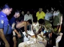 কলাপাড়ায় যাত্রীবাহি বাস থেকে ইলিশ সহ বিভিন্ন প্রজাতির সাড়ে ২৬ মন সামুদ্রিক মাছ জব্দ, ৩ পরিবহনকে ৩০ হাজার টাকা জরিমানা