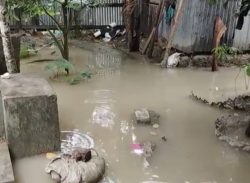 অতিভারী বৃষ্টিতে কলাপাড়ায় জলাবদ্ধতা, মৎস্য ও কৃষিখাতে ব্যাপক ব্যাপক ক্ষতি/