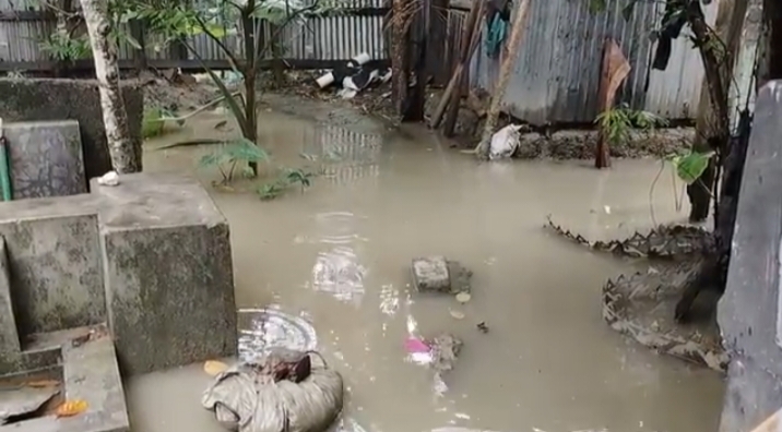অতিভারী বৃষ্টিতে কলাপাড়ায় জলাবদ্ধতা, মৎস্য ও কৃষিখাতে ব্যাপক ব্যাপক ক্ষতি/