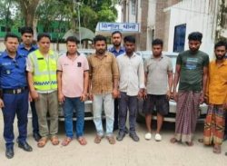 ত্রিশালে চালবাহী ট্রাক ছিনতাইকারী গ্রেফতার