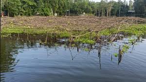 বন্যার পানি কমছে, দৃশ্যমান হচ্ছে ক্ষয়ক্ষতি ,শুধুমাত্র কৃষিতেই ক্ষতি  ১০৫ কোটি টাকা