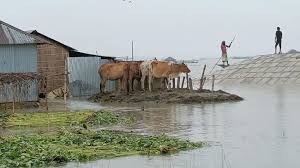 বেড়েই চলেছে যমুনার পানি, সিরাজগঞ্জের ৫ হাজার মানুষ পানিবন্দি