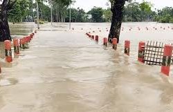 জামালপুরে বন্যার পানিতে গোসলে নেমে ৪ জনের মৃত্যু