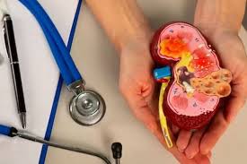 বাংলাদেশিদের কিডনি পাচার, দিল্লির অ্যাপোলো হাসপাতালের চিকিৎসক গ্রেফতার