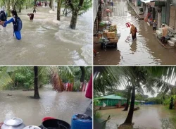 নোয়াখালীতে ঢুকছে মহুরী নদীর পানি, বন্যা পরিস্থিতির অবনতি