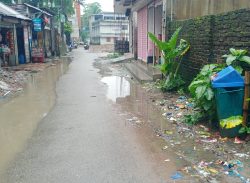 কলাপাড়া পৌরসভার সেবা কার্যক্রম স্হবির হয়ে পড়েছে,  নাগরিকরা চরম দূর্ভোগে। 