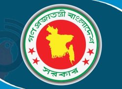 সিটি করপোরেশন-পৌরসভা, জেলা-উপজেলা পরিষদে প্রশাসক বসাতে পারবে সরকার