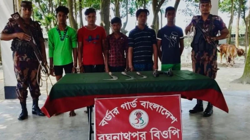 সীমান্তে অস্ত্রসহ ৫ ভারতীয় অনুপ্রবেশকারী আটক