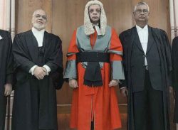 শপথ নিলেন উপদেষ্টা ফারুক-ই-আজম